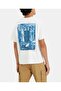 تي شيرت جرافيك مناسب عتيق LEVI'S HIVE - 3