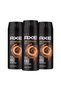 Spray Dark Temptation Deodorant bărbătesc 150 ml X3