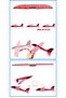 Epp Silicone Foam Glider Airplane Kids Educational Model Toy Red - 4