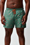 Khaki Standard Size Crab Printed Large Size Swimsuit Swim Shorts Tmnss24Kd00006 - 5