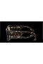 0Pr A01S 15O10C 53 Sunglasses - 3