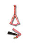 Corgi Dog Harness and Leash Set
