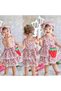 Girl's dress Girl's strawberry dress
