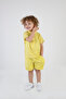 Boy's Shirt-Gardin Shorts Top and Bottom Set - 3