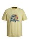 JJSUMMER VIBE TEE SS CREW NECK LN
