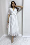 Short Sleeve Lined Plus Size Chiffon Dress Black, Burgundy, Khaki, White, Green, Flower Pot, Red, Purple - 3