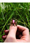 Trend Spiral Model Antique Antique Adjustable Women's Ring - 3