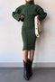 Women's Khaki Knitted Motif High-Neck Crop Sweater and Dress Set - 3