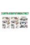 3 Sheets Transparent Sticker Street Fashion Bddn Journal Üz