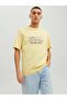 jack&jones t-shırt