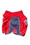 KICK BOXING SHORTS AND KICK BOXING SHORTS TEE ST 101 - 3