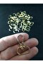 10 Parrot Keychain
