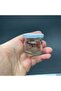 29 CC GLASS POWDER POWDER JAR - METAL LID +TIP - 29 ML POWDER BOX - 6 PIECES - 2