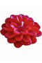 6.6cm Dahlia Flower Star Flower Silicone Mold K-1290, Scented Stone Soap Plaster Candle Mold