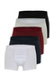 Çok Renkli Çok Renkli Basic 5'li Paket Pamuklu Boxer TMNAW21BX0018 - 2