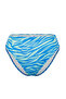 Zebra Print High Waist Regular Bikini Bottom Tbess21Ba0320 - 6