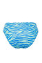 Zebra Print High Waist Regular Bikini Bottom Tbess21Ba0320 - 8