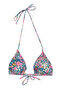 Ase Triangle Bikini Top - 5
