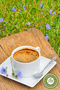 Blue Chicory Herb Collected from the Famous Tunceli Mountain, Blue St. John's Wort {Cichorium Intybus} |   35g - 3