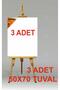 50x70 Tuval(3ADET)