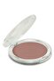 Burn It Glittering Powder Bronzer Sun Lover - 3