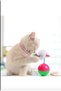 Cat Toy Hacıyatmaz Furry Cat Play Ball