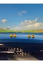 Set of 4 Mini Duck Rearview Glove Box Ornament Mirror Ornament Car Ornament - 2