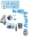 Frozen Elsa 8 Person Age Birthday Party Set Ornament