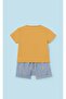 Newborn Baby Boy Shorts Set - 3
