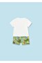 Baby Boy T-Shirt Shorts Set - 2