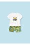 Baby Boy T-Shirt Shorts Set