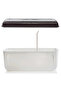 Bread Bowl - Storage Box - 3
