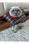 Classy Patterned Cat and Dog Elizabeth Protective Collar - 2