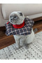 Classy Patterned Cat and Dog Elizabeth Protective Collar - 5