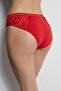 0042 Lace Embroidered Bikini Model Tulle Fabric Women's Panties - 3