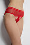 0042 Lace Embroidered Bikini Model Tulle Fabric Women's Panties - 5
