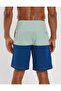 Blue Men's Shorts U-0133-7495 - 4