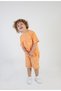 Boy's Palm Tree Printed Orange Color Short Sleeve Shorts Top and Bottom Set - 3