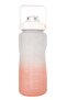 VAESKE Flask MOTIVATIONAL 2LT PINK-GRAY - 4