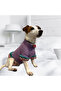 Ruffles Köpek Kazağı - 3