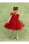 Crew Neck Baby Girl Tulle Dress - 6