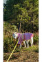 Dog Raincoat Waterproof Raincoat with Body Fixing Detail and Reflective Features - 7