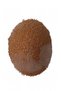 Teff Tohumu 1 Kg - 2