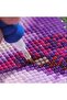 5D Diamond Bead Stone Embroidery Mosaic Tapestry Kit 50X40Cm Gc80089 Diamond Painting - 2