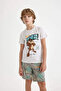 Boy's Looney Tunes Short Sleeve Shorts Pajamas Set A2374A824Sm - 4