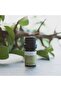 5ml Bergamot Essential Oil - 3