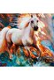 5D Diamond Bead Stone Embroidery Mosaic Tapestry Kit 30X30Cm Ms24452 Diamond Painting