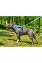 Dog Harness Harness Lightweight Small and Large Dogs Anti-Splay Chest Harness - 2