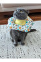Space Patterned Cat and Dog Elizabeth Protective Collar - 5