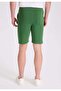 Green Cotton Regular Fit Men's Shorts CORE - 4